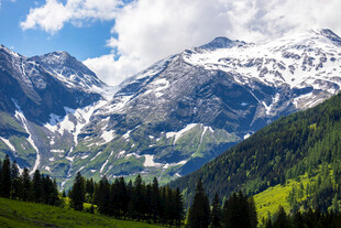 壮丽雪山下的翠绿山林
