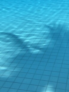 波光粼粼的泳池水面
