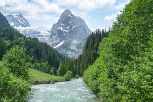 山间溪流旁的秀丽山林景色
