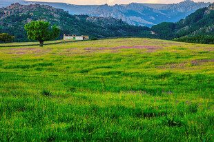 绿色原野与远处山峦美景