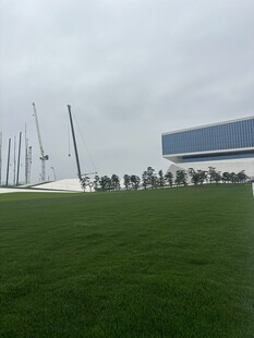 绿草如茵旁的现代建筑景观