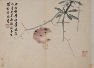 明沈周水墨花卉竹石图