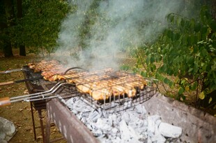 户外烤肉