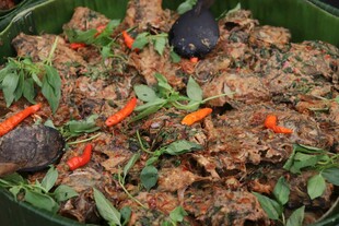 美味炒肉