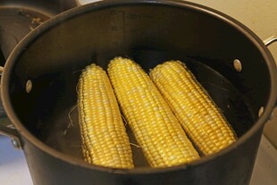 玉米