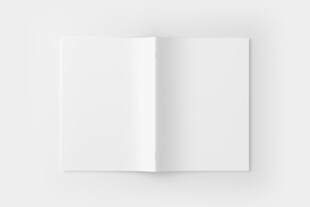 空白A4折页设计展示样机