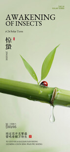 竹上瓢虫 自然微观之美
