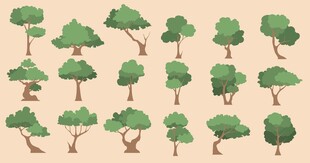 多样卡通树木集合