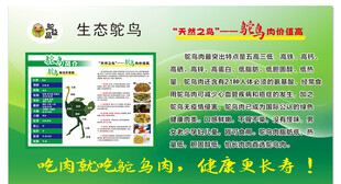 鸵鸟肉营养价值