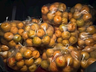 一堆饱满的橙色果实