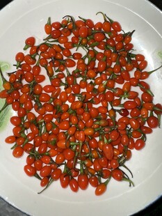 盘中鲜艳的枸杞