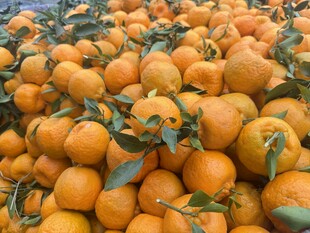 堆满的新鲜带叶橘子