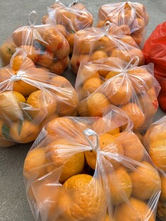 袋装橘子整齐摆放