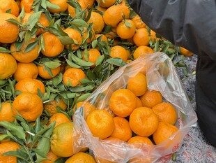 新鲜带叶橘子堆成小山