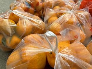 袋装橙子堆放在一起