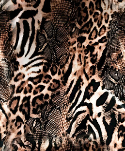 动物纹理图案集合