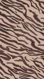 斑马纹图案纹理