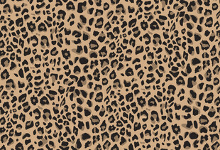 豹纹图案纹理背景