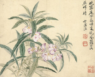 恽寿平水墨兰花图