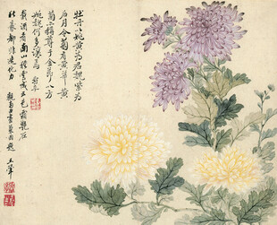 恽寿平国画菊花图
