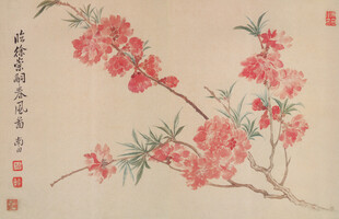 恽寿平国画桃花枝