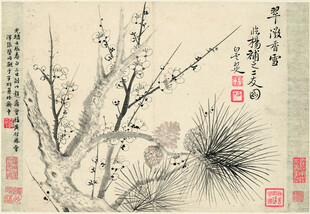 恽寿平水墨梅花松枝写意画