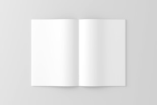 空白A4折页设计展示样机
