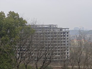 城市建筑群与周边树木景观