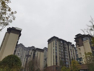 高层住宅区景观