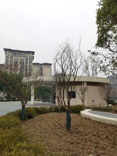 城市中静谧的建筑与绿植