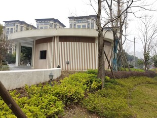 小区旁的建筑与绿植景观
