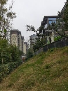 山坡上的建筑与绿植景观