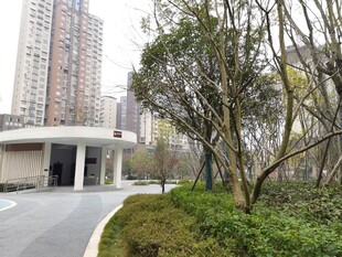 城市小区旁的绿化景观