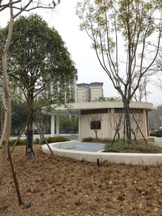 庭院景观中的别致建筑