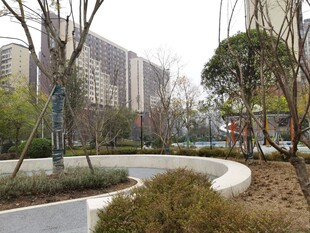 城市公园冬日景观一角