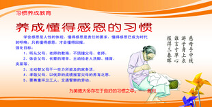 养成感恩习惯培训