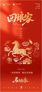 回娘家主题红色喜庆海报