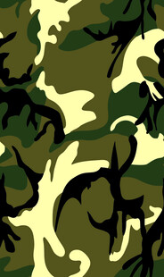 迷彩图案背景数码印花