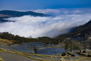 云雾缭绕的山间梯田美景