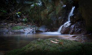 山林间的清幽小瀑布