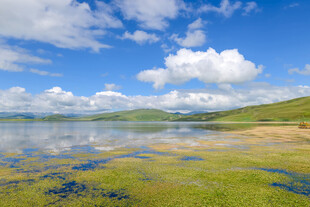 草原湖泊美景
