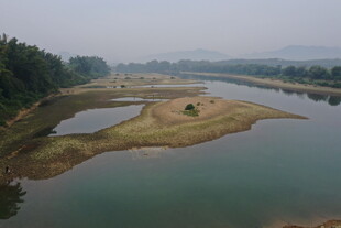 河畔风光自然静谧之景