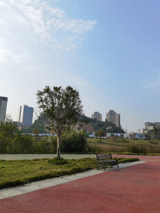 城市公园中的红色步道