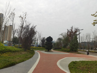 城市公园中的蜿蜒步道