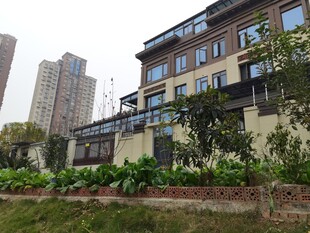 现代风格住宅周边景观