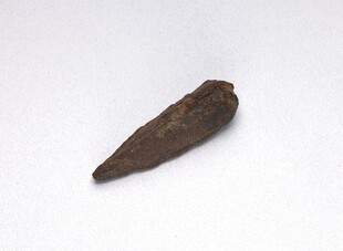 棕色锥形物体特写