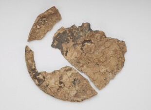 古代残损木片文物