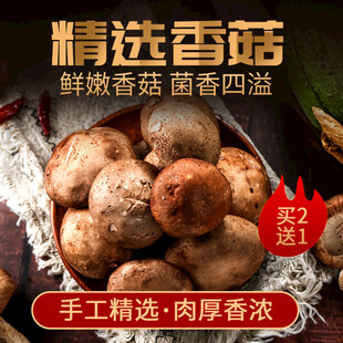 精选香菇鲜香四溢