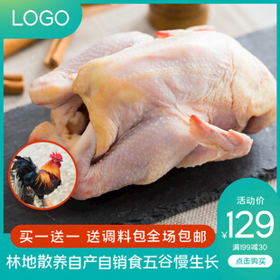 山林散养土鸡肉质鲜嫩