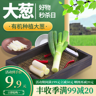 有机大葱特惠新鲜大颗